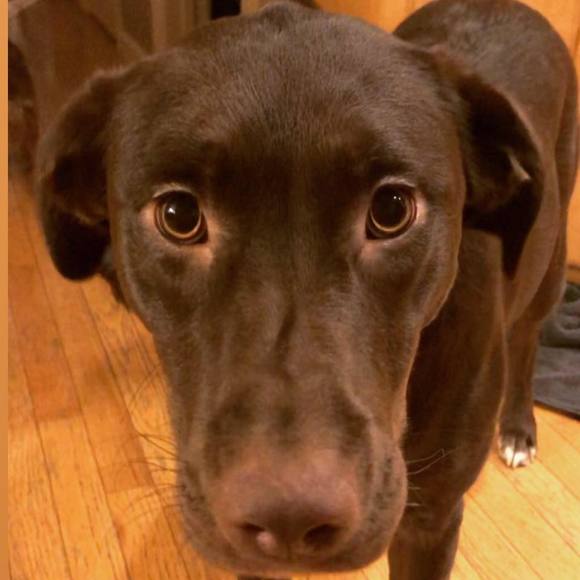 Meet your Posher, Manuel - Picture 1 of 1